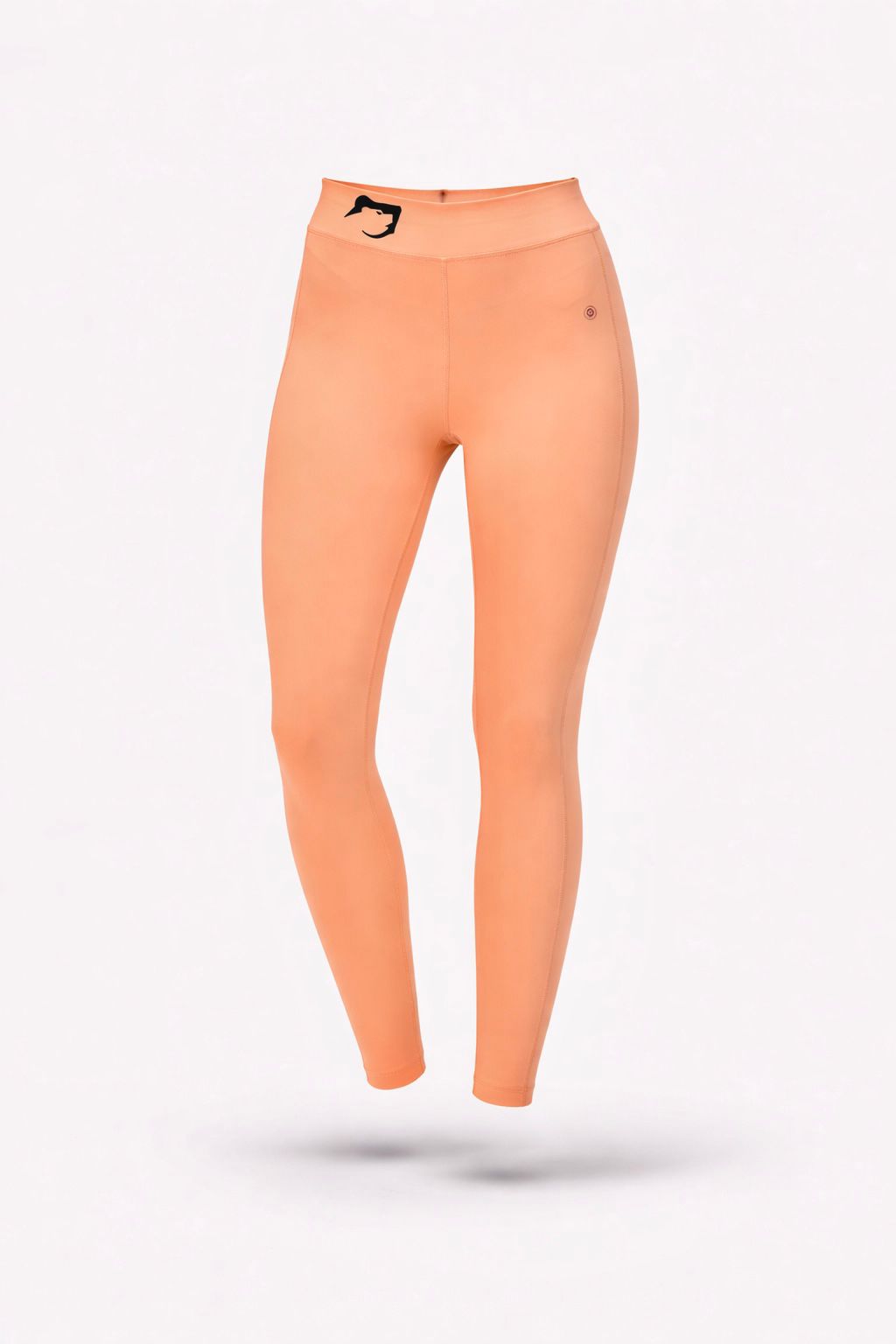 Training Core Legging